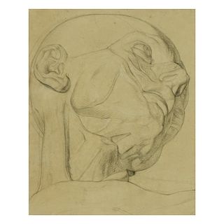 Pencil Sketch Anatomical Man's Head