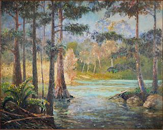 GEOFFREY BATE, Oil on Canvas, Florida Swamp