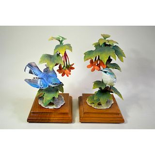 ROYAL WORCESTER DOROTHY DOUGHTY CERULEAN WARBLERS AND RED MAPLE, PAIR