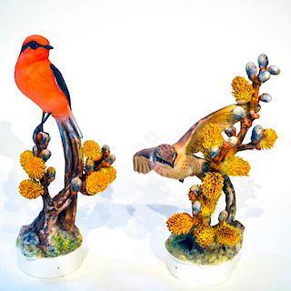 ROYAL WORCESTER DOROTHY DOUGHTY VERMILLION FLYCATCHERS AND PUSSY WILLOW, PAIR