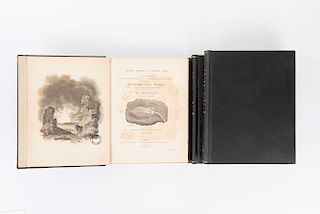 Parkinson, James. Organic Remains of a Former World. London, 1833. Volumes I - III. Second Edition. Pieces: 3.