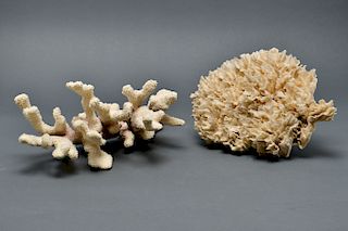 Large White Coral Specimens, 2 Pc.