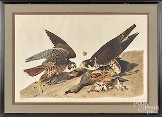 John James Audubon engraving and aquatint