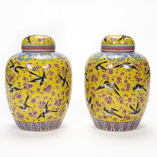 Pair, Chinese Famille Jaune Porcelain Ginger Jars