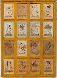 19th C, Grouping of French Botanical Specimens