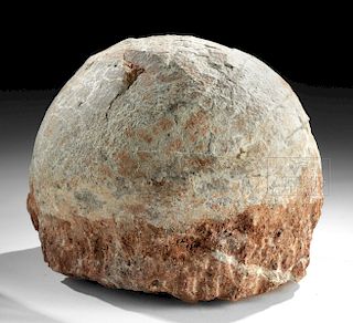 Late Cretaceous Fossilized Dinosaur Egg - Hadrosaurid