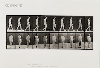 Eadweard Muybridge (British, 1830-1904)  Plate 15 (Nude Woman Walking)