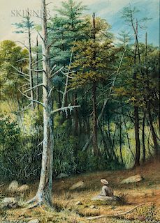 William Allen Wall (American, 1801-1885)  Woodland Respite