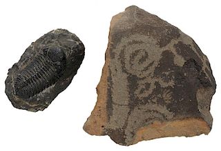 Fossilized Trilobite and Cave Painting