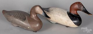 Pair of Madison Mitchell canvasback duck decoys