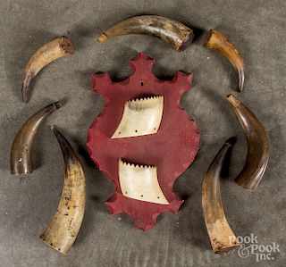 Seven powder horns and a horn wall pocket