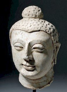 Fine / Naturalistic Gandharan Stucco Buddha Head