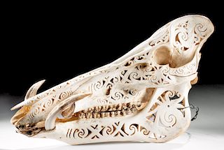 20th C. Dayak Carved Boar Skull