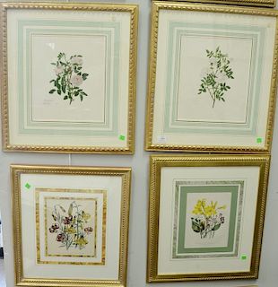 Group of twelve botanical colored engraving prints, three Mary Lawrence, four Day & Haghe lithographers, along with five smaller botanical prints. sig
