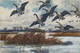 Aiden Lassell Ripley (1896-1969)  Canada Geese