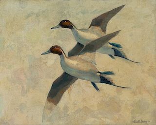 Richard E. Bishop (1887-1975)  Flying Pintails