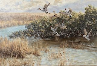 Tom Beecham (1926-2000) Up & Gone - Pintails 