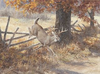 Tom Beecham (1926-2000)  White-Tailed Deer
