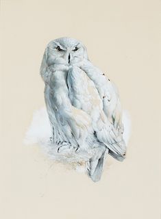 Raymond Harris Ching (b. 1939) Snowy Owl 