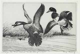 Three Federal Duck Stamps and Prints  
