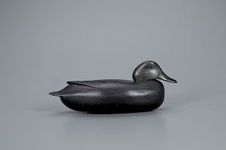 Black Duck Decoy, Daniel G. English (1883-1962)