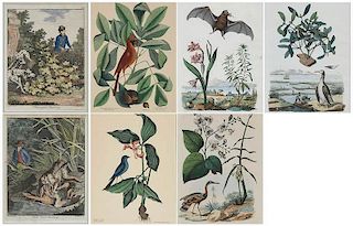 Seven Decorative Prints