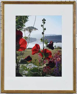 Framed Garden Photograph