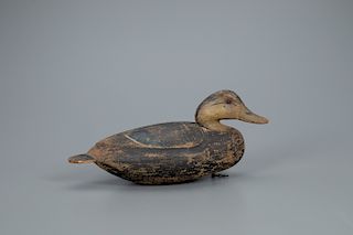 The Trimper Rig Turned-Head Black Duck Decoy, Ira D. Hudson (1873-1949)