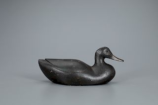Black Duck Decoy, Caines Brothers