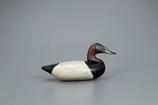 Outstanding Canvasback Drake Decoy