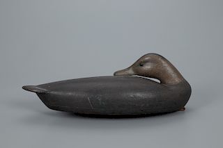 Sleeping Black Duck Decoy, Mark S. McNair (b. 1950)