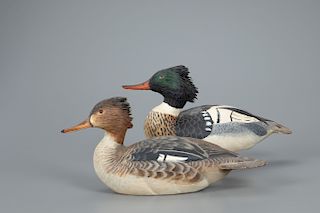 Red-Breasted Merganser Pair, The Ward Brothers