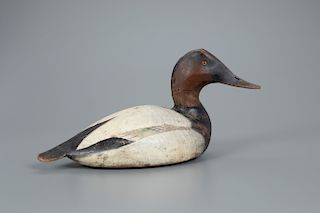 Canvasback Drake Decoy, The Ward Brothers