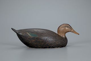 Black Duck Decoy, The Ward Brothers