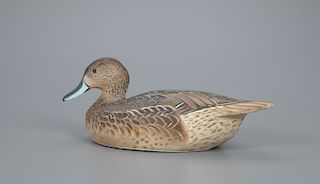 Pintail Hen Decoy, The Ward Brothers