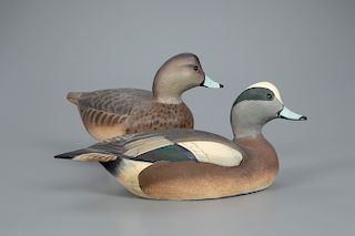Wigeon Pair, The Ward Brothers