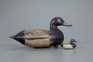 Two Canvasback Decoys, Ira D. Hudson (1873-1949)