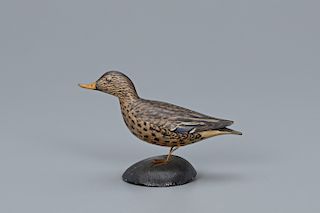 Miniature Mallard Hen, A. Elmer Crowell (1862-1952)