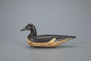 Rare Pintail Hen Decoy, Doug Jester (1876-1961)