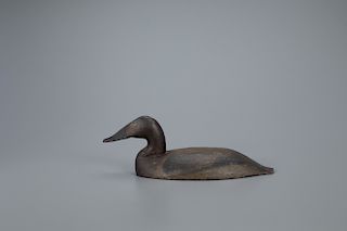 Wooden Canvasback Hen Wing Duck Decoy, Scott Jackson (1852-1929)