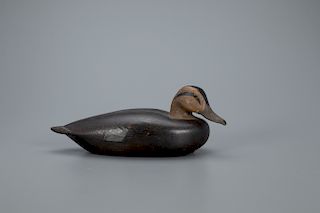 Black Duck Decoy, Charles E. "Shang" Wheeler (1872-1949)
