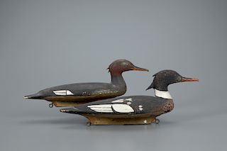 Red-Breasted Merganser Pair, Harald Thengs (1893-1974)