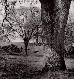 Ansel Adams "Whitney Ranch" Gelatin Silver Print