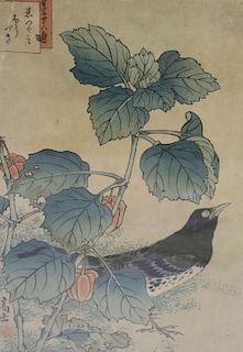 Signed Asian Print Of A Bird.