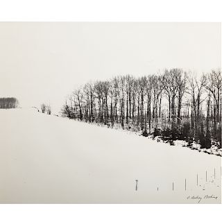 A. Aubrey Bodine. "Snow on a Hill"