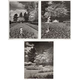 A. Aubrey Bodine. "Grey Rock," Three Photographs