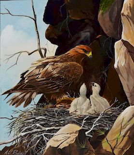 Anthony J. Rudisill Golden Eagle Gouache on Paper