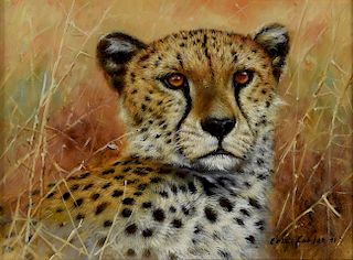 Eric Forlee Cheetah Painting Oil on Canvas