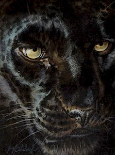 Guy Coheleach Panther Painting Oil on Board