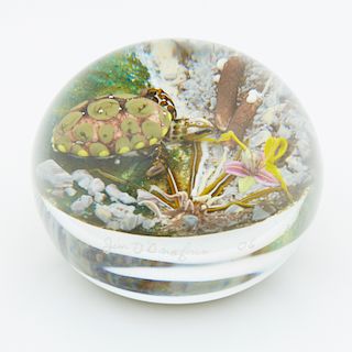 Jim D'Onofrio Glass Turtle Paperweight